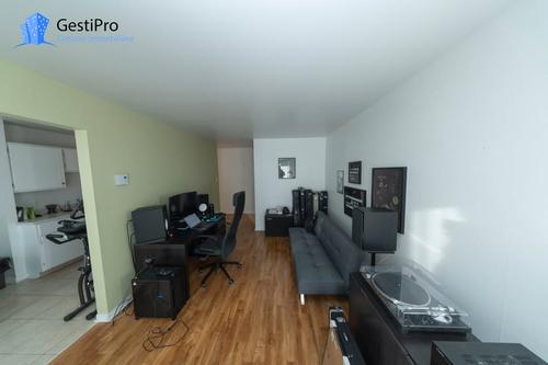 1 bedroom apartment for rent in Lévis — photo 3