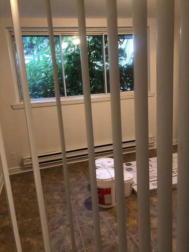 Appartement de 2 chambres à louer à Montreal - Rosemont–La Petite-Patrie — photo 2
