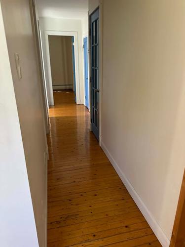 1 bedroom apartment for rent in Lévis — photo 3