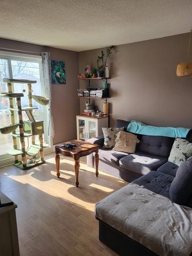 1 bedroom apartment for rent in Gatineau — photo 2