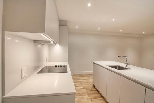Appartement de 1 chambre à louer à Saint-Lambert (Montérégie) — photo 3