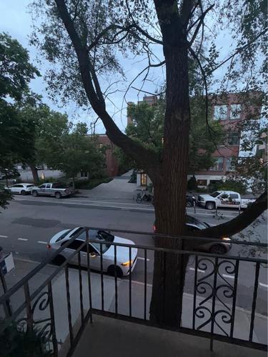 Appartement de 1 chambre à louer à Montreal - Le Plateau-Mont-Royal — photo 8