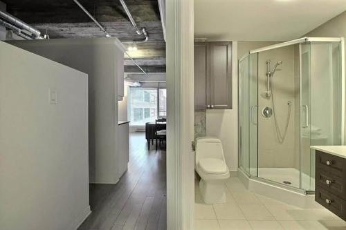 1 bedroom apartment for rent in Montreal - Ville-Marie — photo 4
