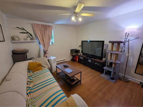 1 bedroom apartment for rent in Lévis — photo 4