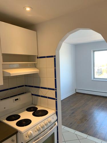 1 bedroom apartment for rent in Montreal - Le Plateau-Mont-Royal — photo 12