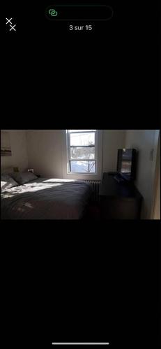 Appartement de 1 chambre à louer à Gatineau — photo 2