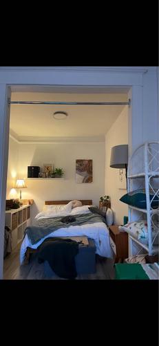 1 bedroom apartment for rent in Montreal - Rosemont–La Petite-Patrie — photo 12