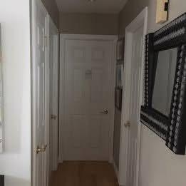 2 bedrooms apartment for rent in Lévis — photo 5