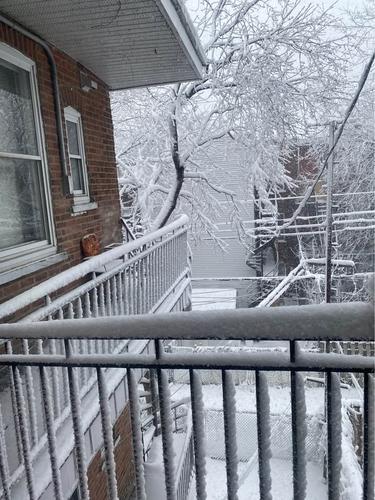 Appartement de 1 chambre à louer à Montreal - Le Plateau-Mont-Royal — photo 24