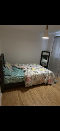1 bedroom apartment for rent in Gatineau — photo 5