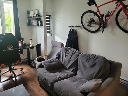 Appartement de 1 chambre à louer à Montreal - Rosemont–La Petite-Patrie — photo 3