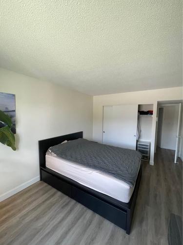 Appartement de 2 chambres à louer à Québec - Sainte-Foy–Sillery–Cap-Rouge — photo 8