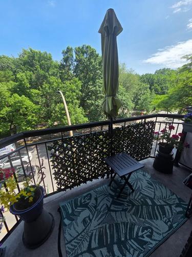 1 bedroom apartment for rent in Montreal - Le Plateau-Mont-Royal — photo 8