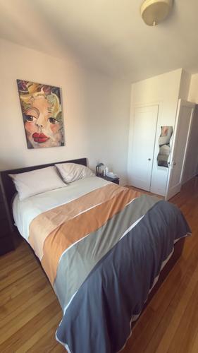 Appartement de 1 chambre à louer à Montreal - Le Plateau-Mont-Royal — photo 11