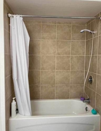 1 bedroom apartment for rent in Québec - La Cité-Limoilou — photo 3
