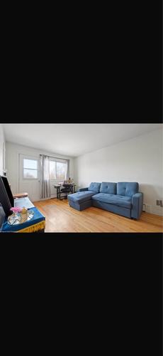 Appartement de 1 chambre à louer à Montreal - Ahuntsic-Cartierville — photo 3