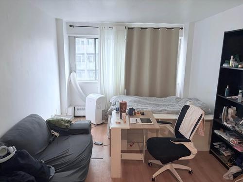 Studio à louer à Montreal - Le Plateau-Mont-Royal — photo 4