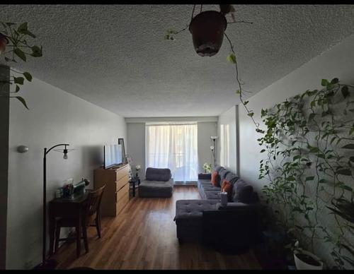 2 bedrooms apartment for rent in Montréal — photo 6