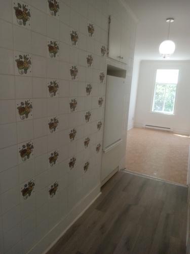 2 bedrooms apartment for rent in Montreal - Le Plateau-Mont-Royal — photo 9