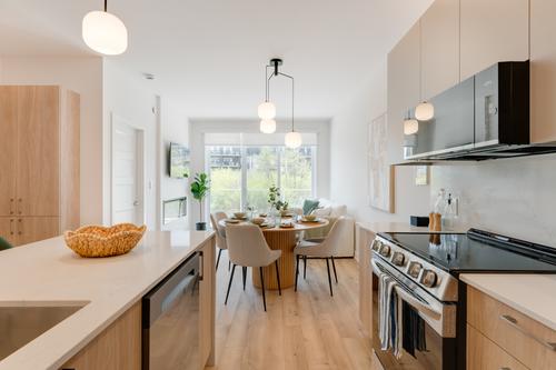 1 bedroom apartment for rent in Gatineau — photo 12