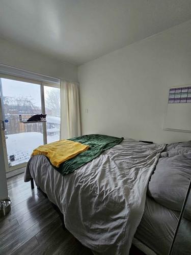 Studio à louer à Montreal - Ville-Marie — photo 3