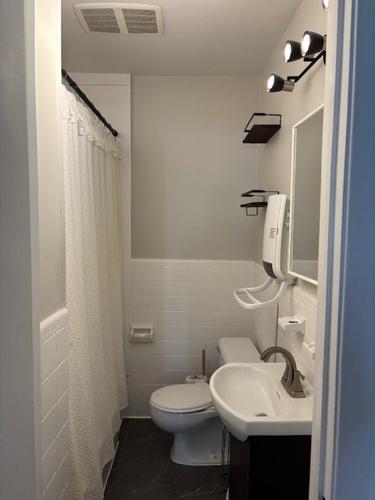 Appartement de 2 chambres à louer à Montreal - Le Plateau-Mont-Royal — photo 5