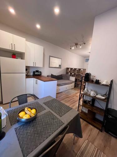 1 bedroom apartment for rent in Montreal - Le Plateau-Mont-Royal — photo 2