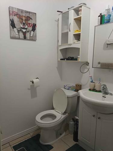 Appartement de 3 chambres à louer à Lévis — photo 8