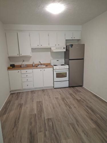 Appartement de 1 chambre à louer à Longueuil — photo 3