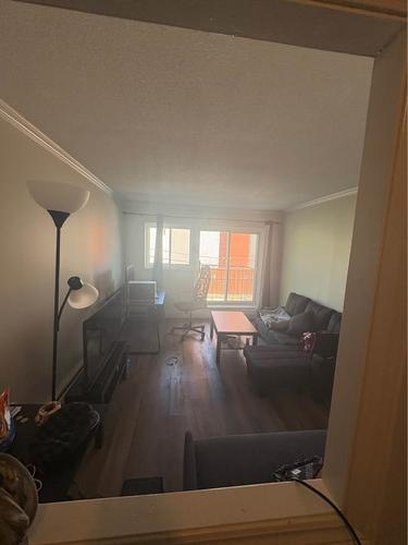 1 bedroom apartment for rent in - — photo 5