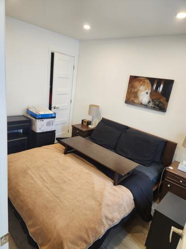Appartement de 2 chambres à louer à Québec - La Cité-Limoilou — photo 3