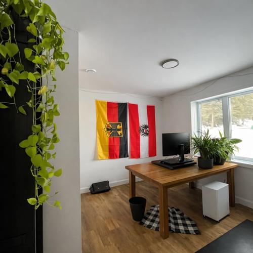 Appartement de 3 chambres à louer à Sherbrooke — photo 6