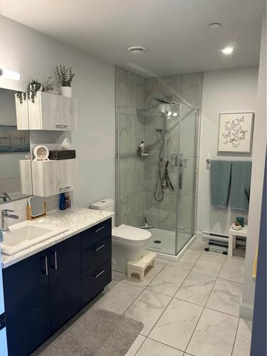1 bedroom apartment for rent in Lévis — photo 4