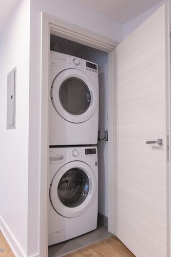Appartement de 1 chambre à louer à Montreal - Le Plateau-Mont-Royal — photo 9