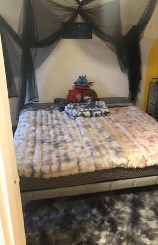 Appartement de 1 chambre à louer à Montreal - Rosemont–La Petite-Patrie — photo 2