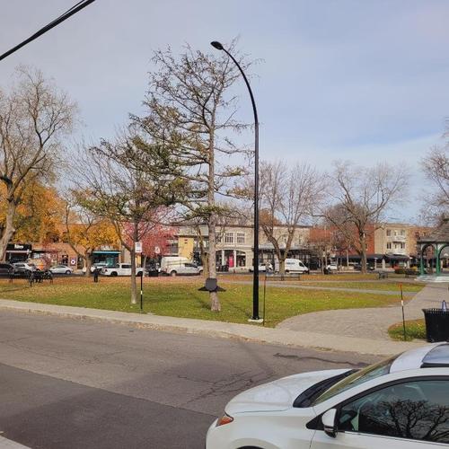 Appartement de 1 chambre à louer à Longueuil — photo 10
