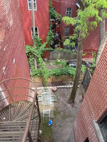 Appartement de 2 chambres à louer à Montreal - Le Plateau-Mont-Royal — photo 12