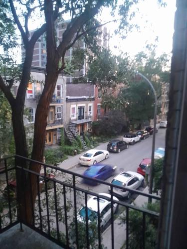Appartement de 2 chambres à louer à Montreal - Le Plateau-Mont-Royal — photo 10