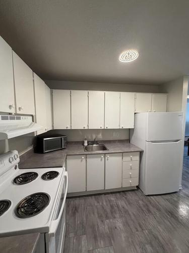 1 bedroom apartment for rent in Gatineau — photo 3