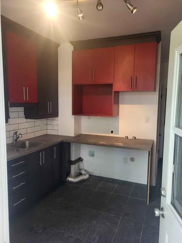 1 bedroom apartment for rent in Montreal - Le Plateau-Mont-Royal — photo 4