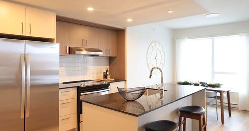 1 bedroom apartment for rent in Lévis — photo 2