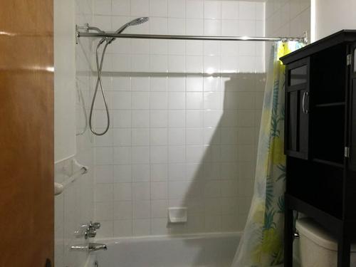1 bedroom apartment for rent in Montreal - Villeray–Saint-Michel–Parc-Extension — photo 8