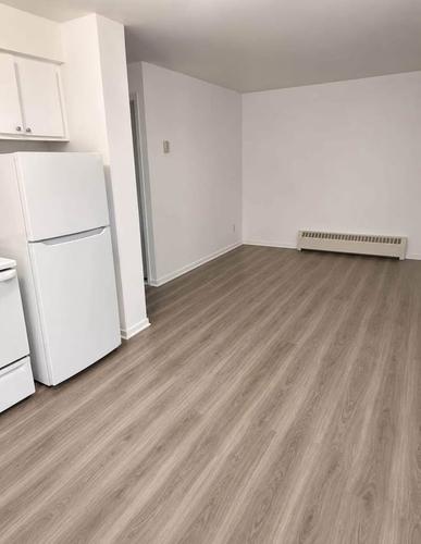 1 bedroom apartment for rent in Montreal - Rosemont–La Petite-Patrie — photo 2