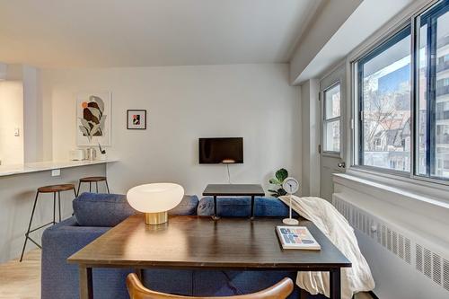 1 bedroom apartment for rent in Montreal - Le Plateau-Mont-Royal — photo 14