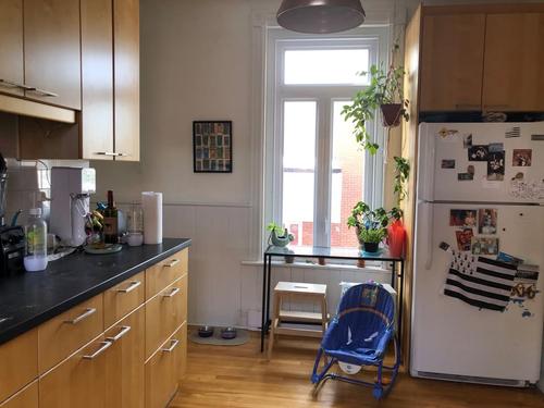 Appartement de 1 chambre à louer à Montreal - Le Plateau-Mont-Royal — photo 5