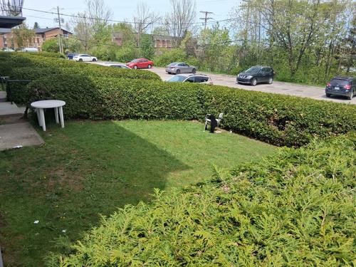 2 bedrooms apartment for rent in Sherbrooke — photo 11