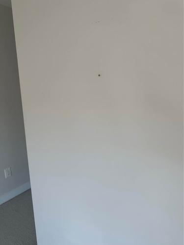 Appartement de 1 chambre à louer à - — photo 2