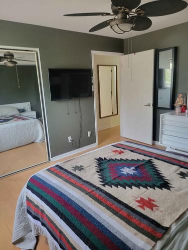 Appartement de 1 chambre à louer à Longueuil — photo 14