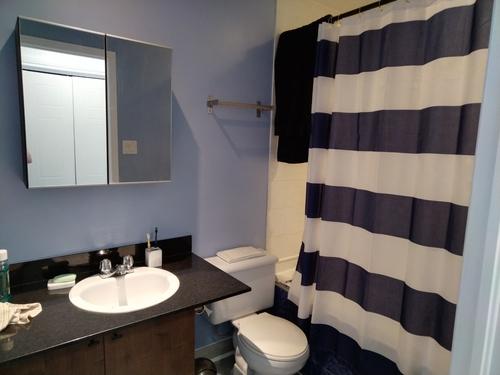 1 bedroom apartment for rent in Montreal - Ville-Marie — photo 8
