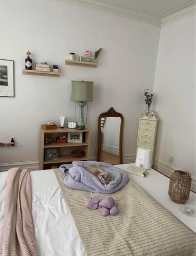 2 bedrooms apartment for rent in Montreal - Le Plateau-Mont-Royal — photo 8